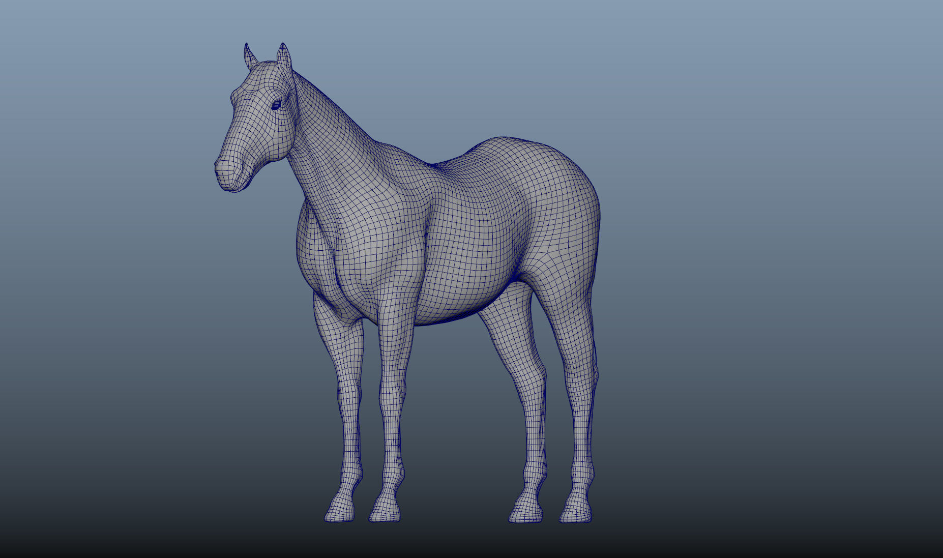 Realistic Horse Zbrush File 3D model_7