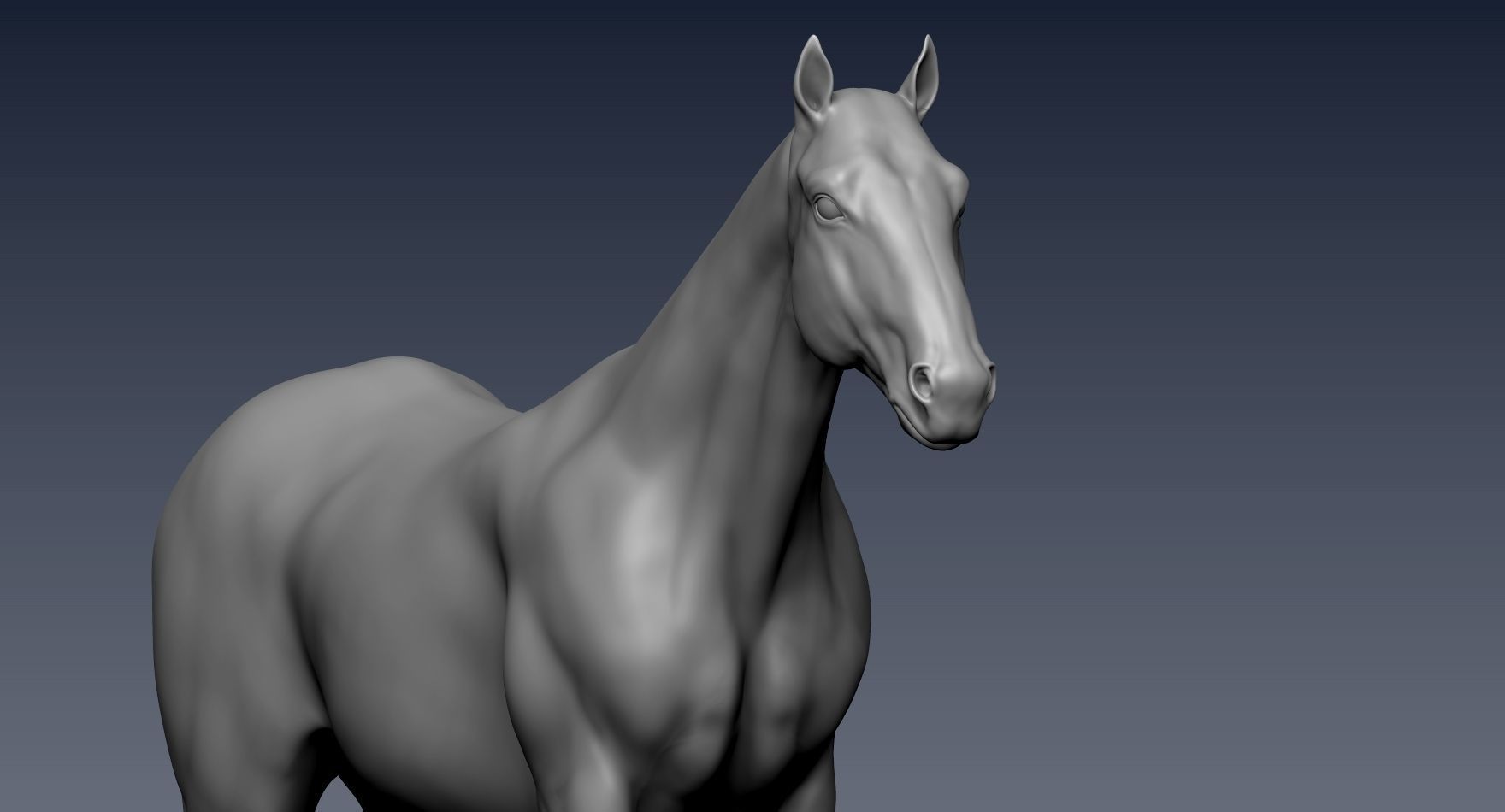 Realistic Horse Zbrush File 3D model_9