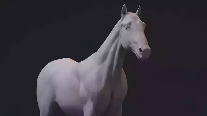 Realistic Horse Zbrush File 3D model