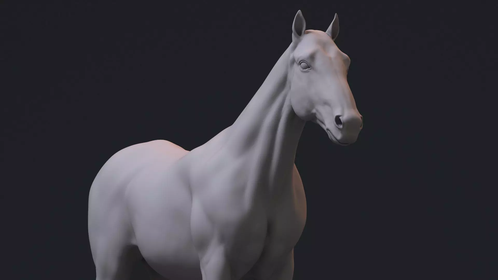 Realistic Horse Zbrush File 3D model_0