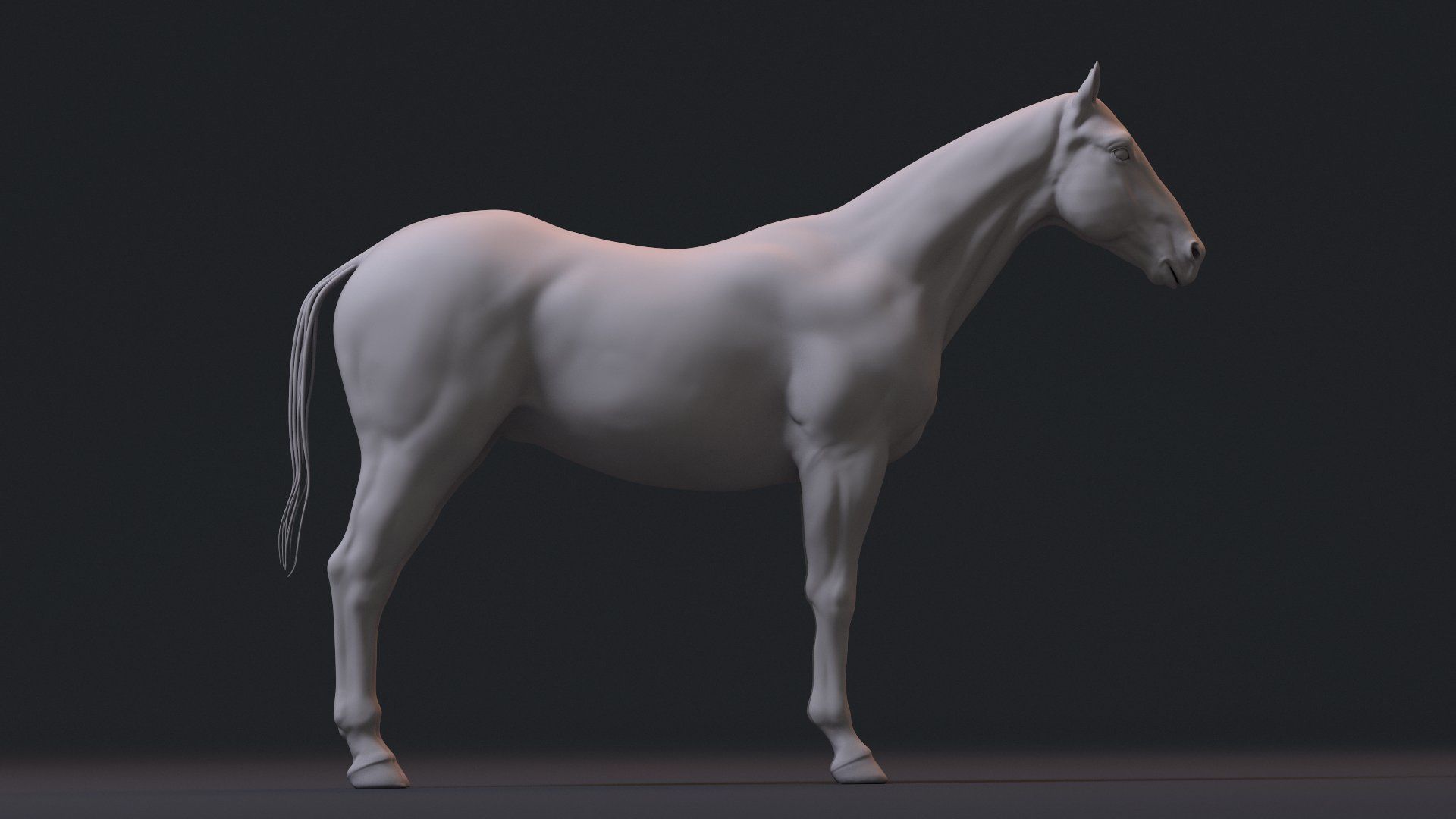 Realistic Horse Zbrush File 3D model_2