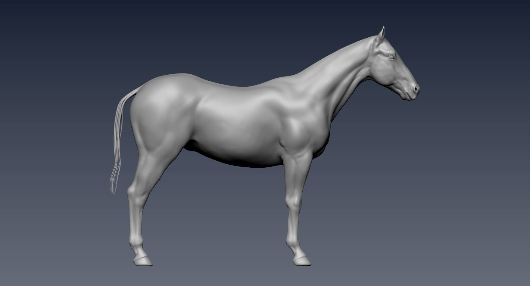 Realistic Horse Zbrush File 3D model_10