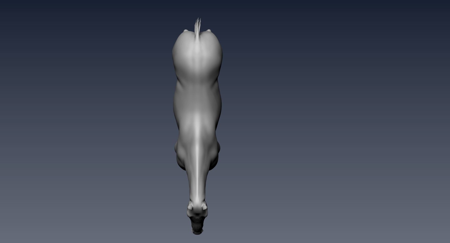 Realistic Horse Zbrush File 3D model_12