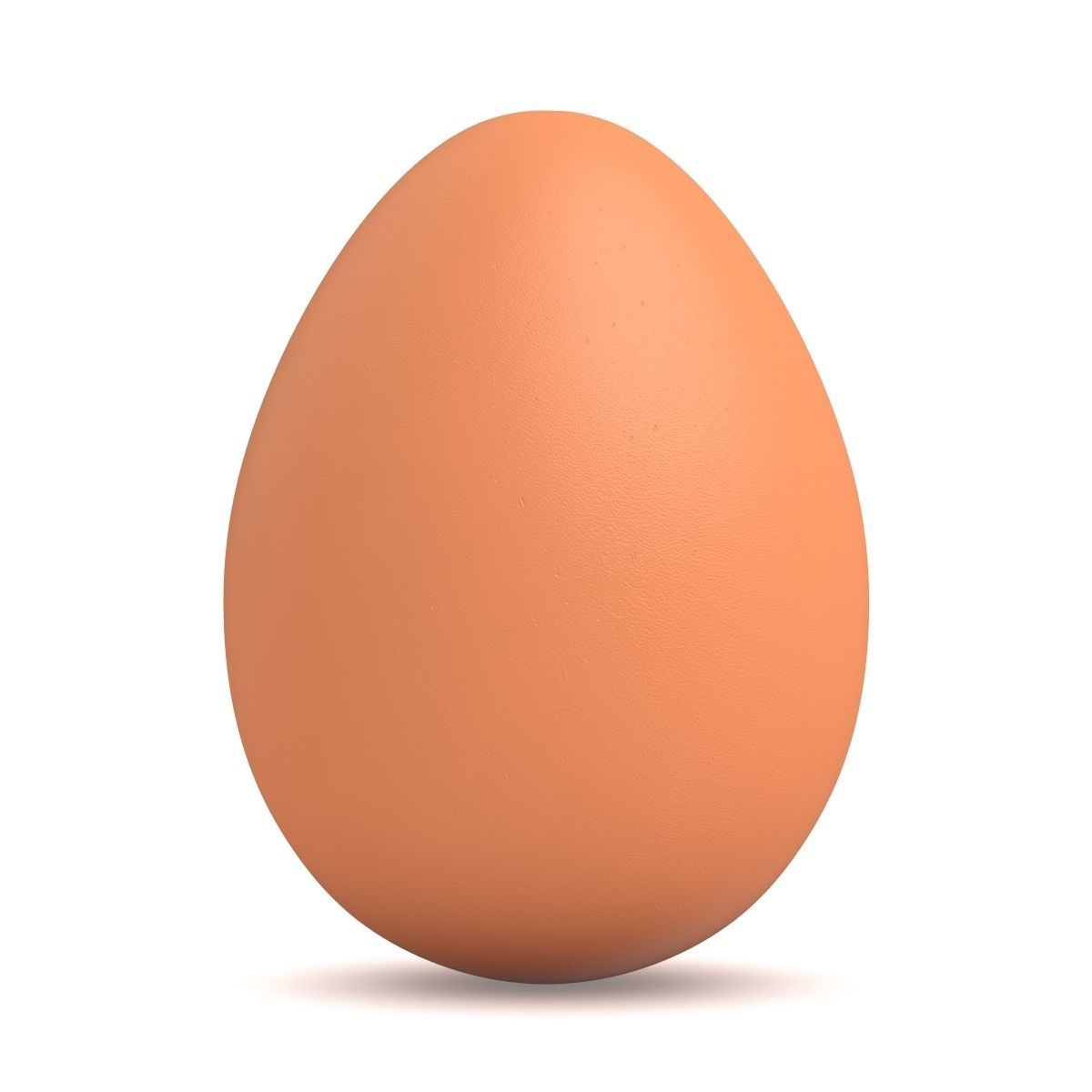 Egg Chicken 3D model_1