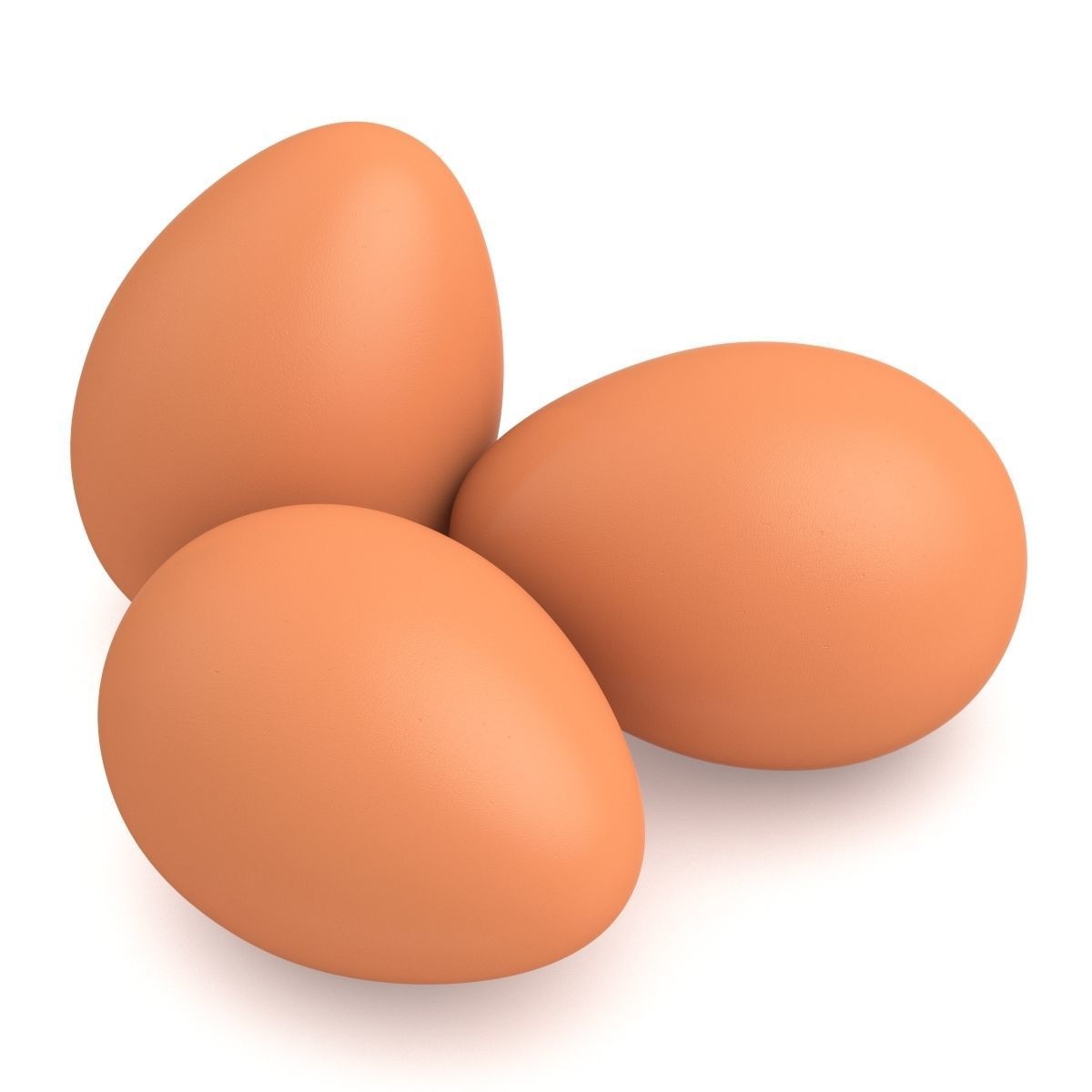 Egg Chicken 3D model_4