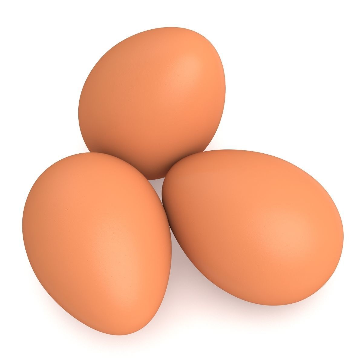 Egg Chicken 3D model_6