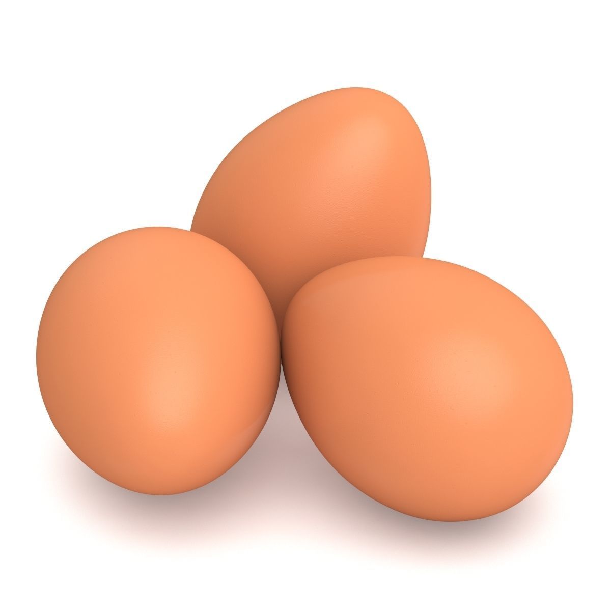 Egg Chicken 3D model_5