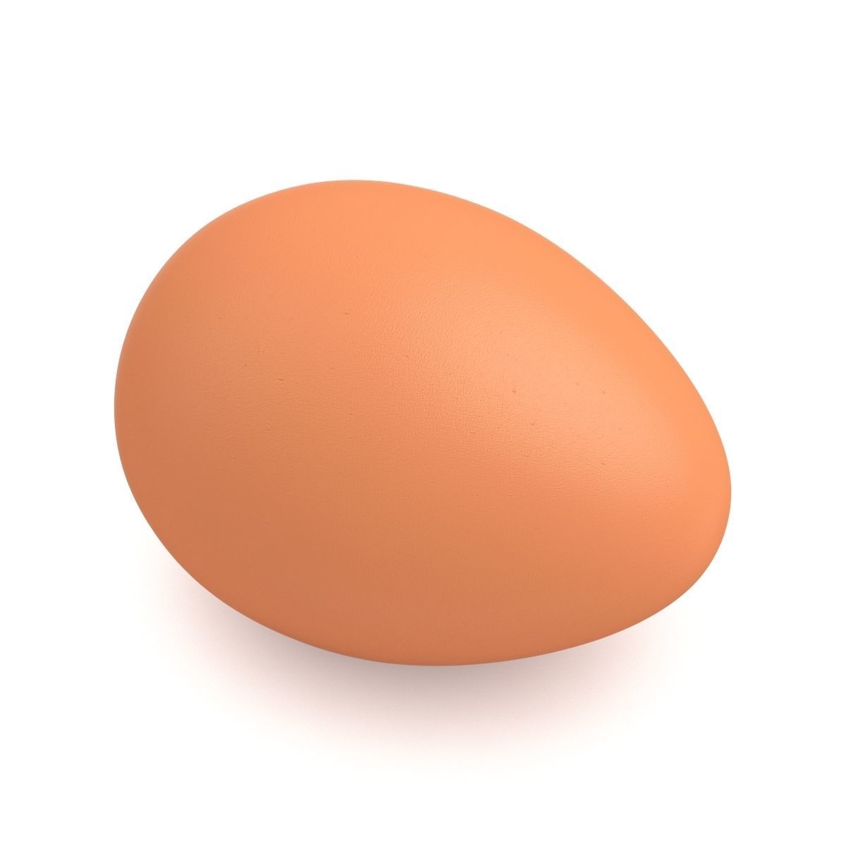 Egg Chicken 3D model_3