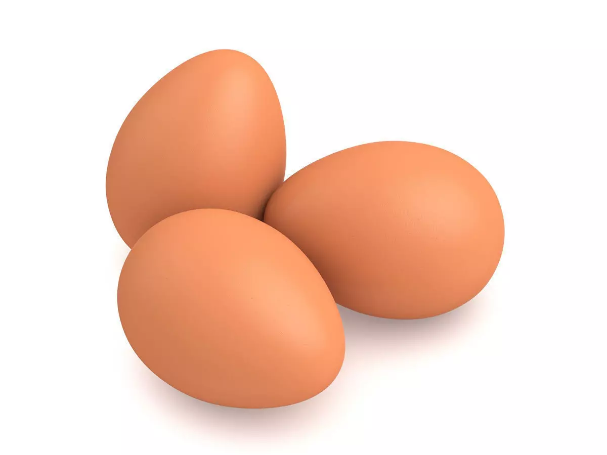 Egg Chicken 3D model_0