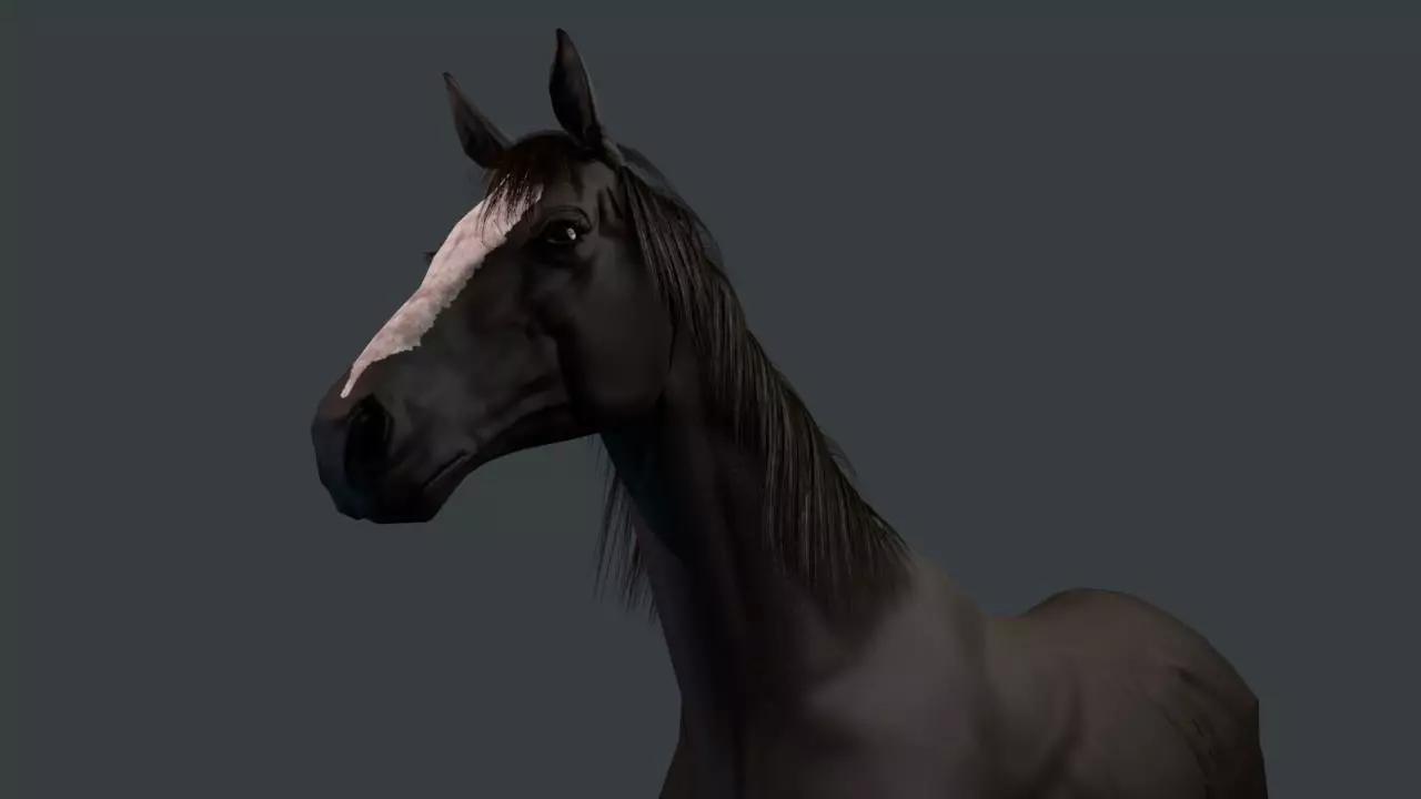 Thoroughbred Horse 3D model_0