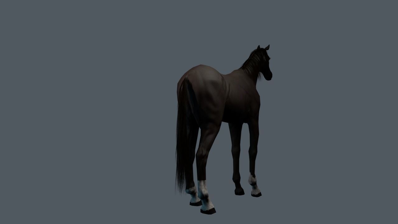 Thoroughbred Horse 3D model_3