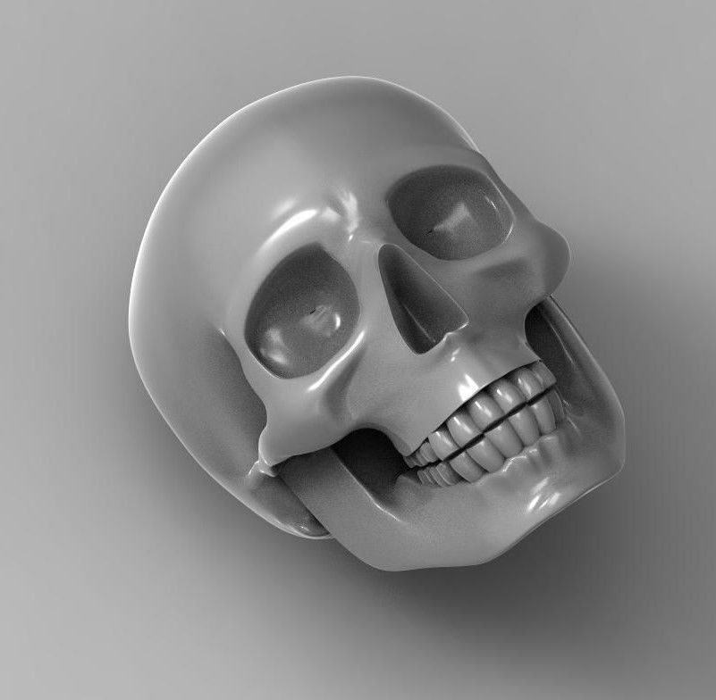skull 3D print model
