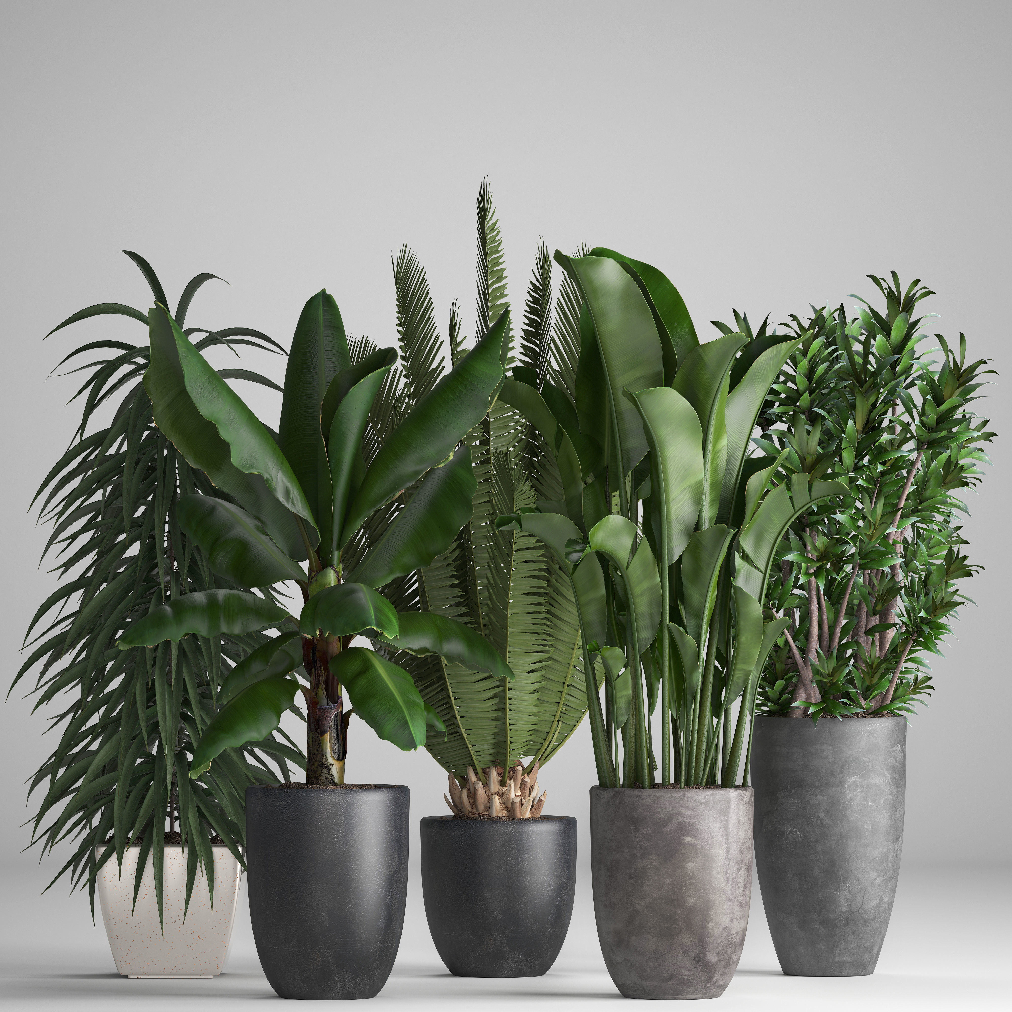 Collection of ornamental plants in pots 3D model_1