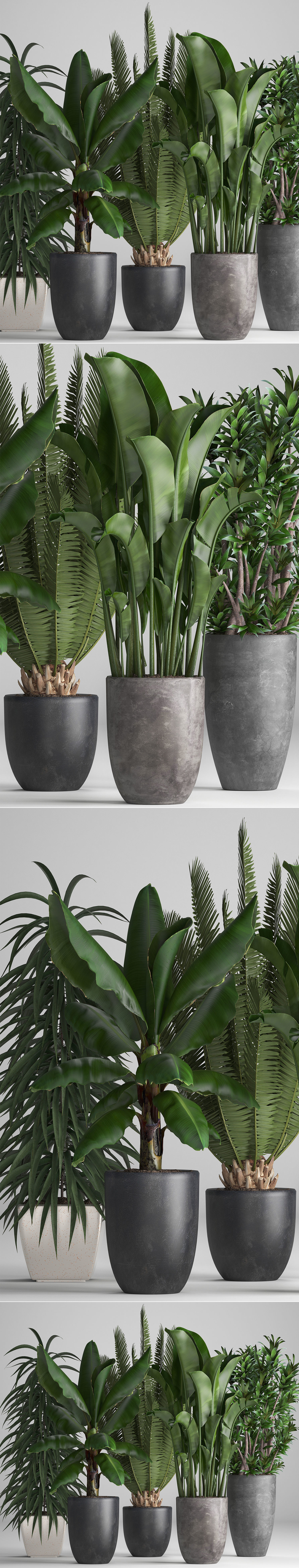 Collection of ornamental plants in pots 3D model_5