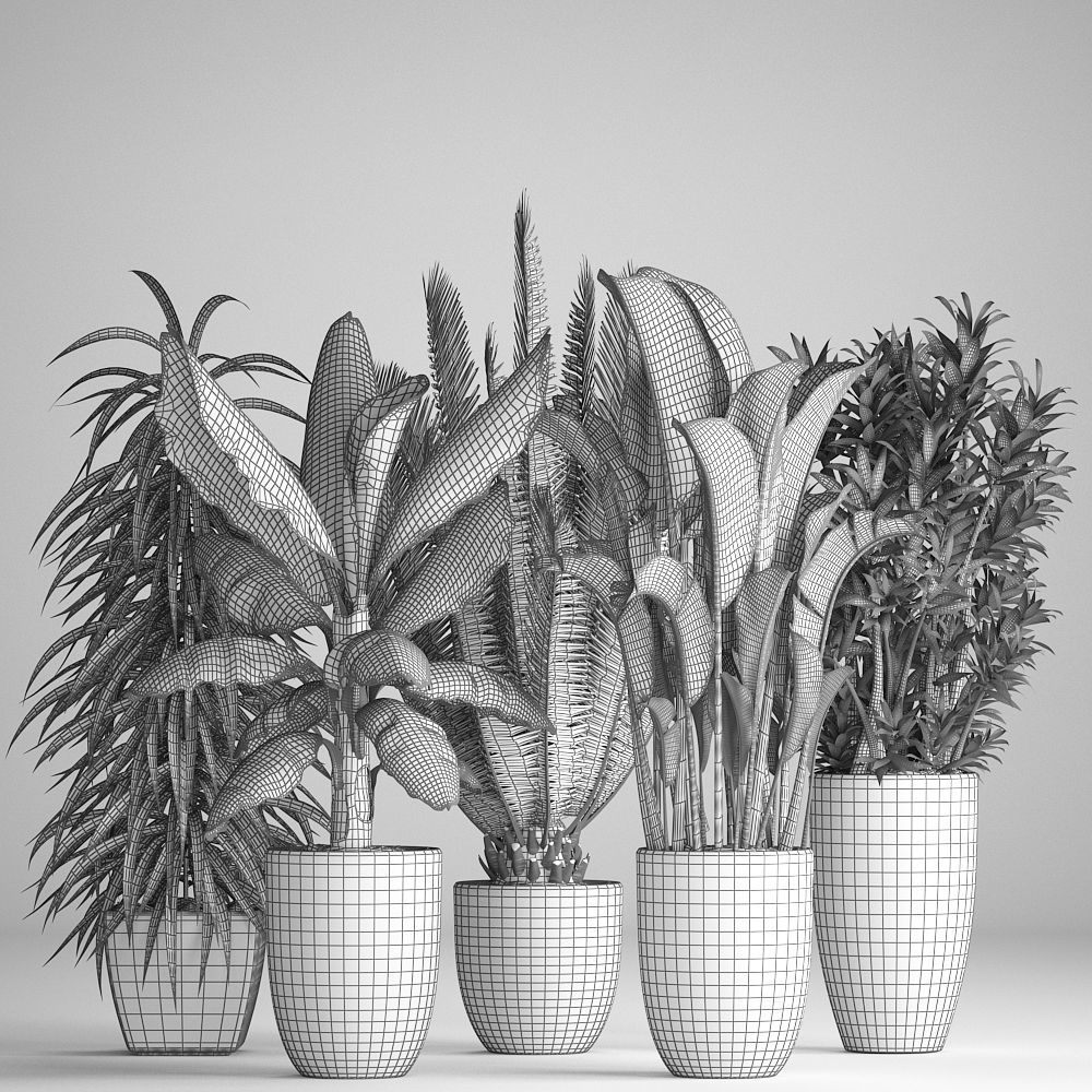 Collection of ornamental plants in pots 3D model_9