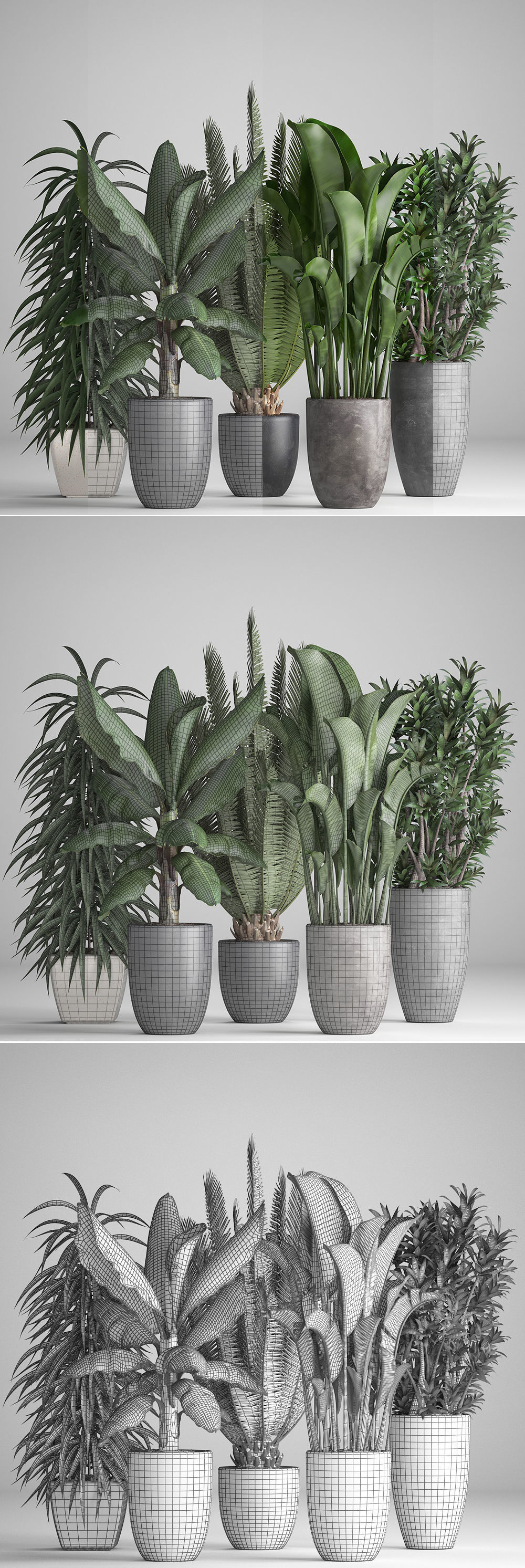 Collection of ornamental plants in pots 3D model_6