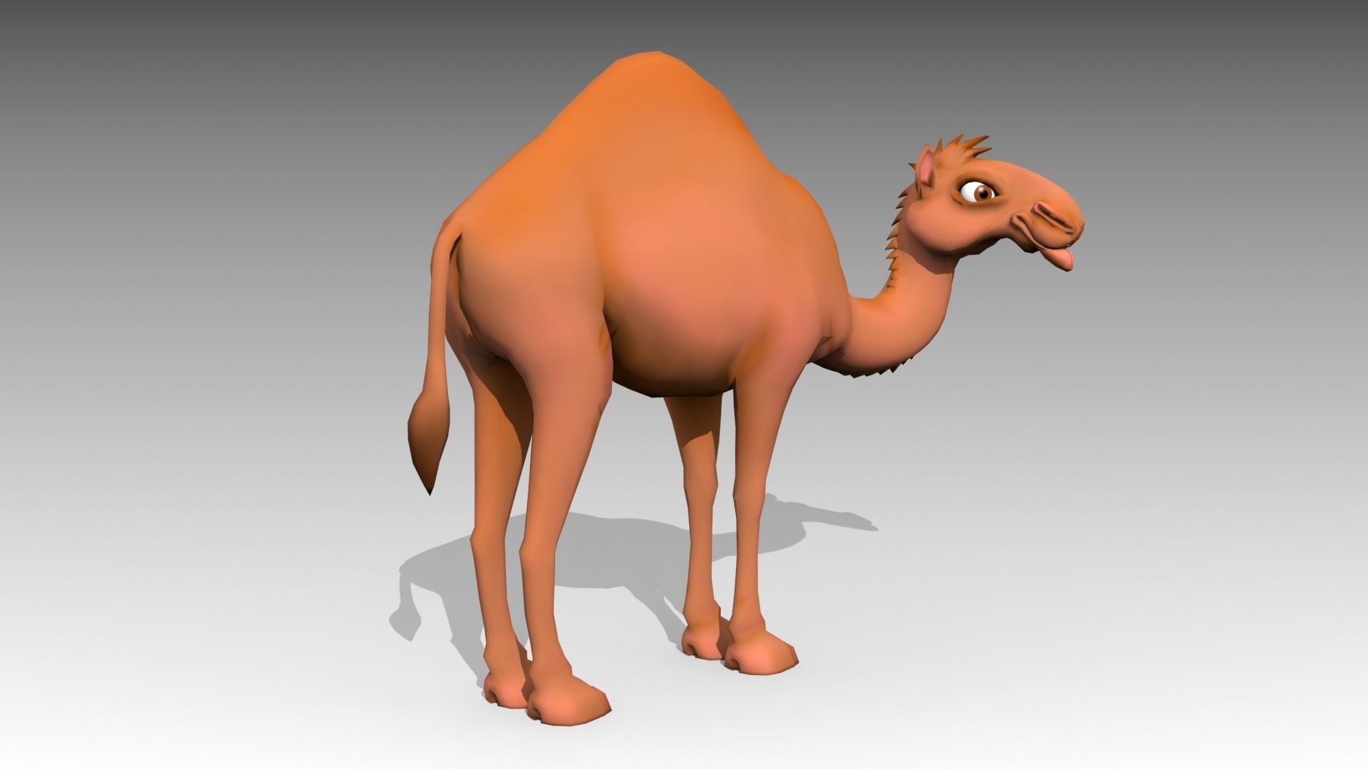 Camel Toon Low-poly 3D model_2