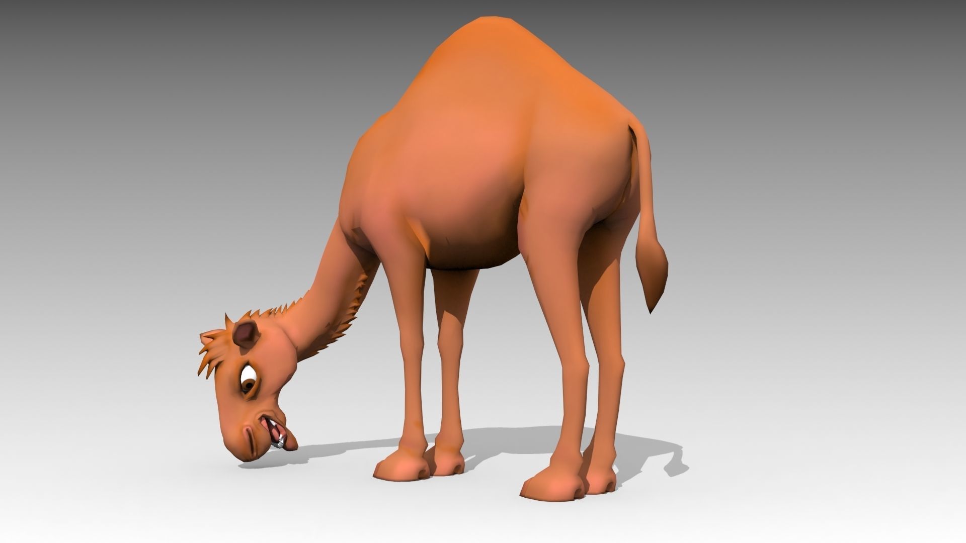 Camel Toon Low-poly 3D model_5