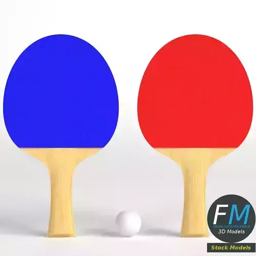 Ping pong paddles set