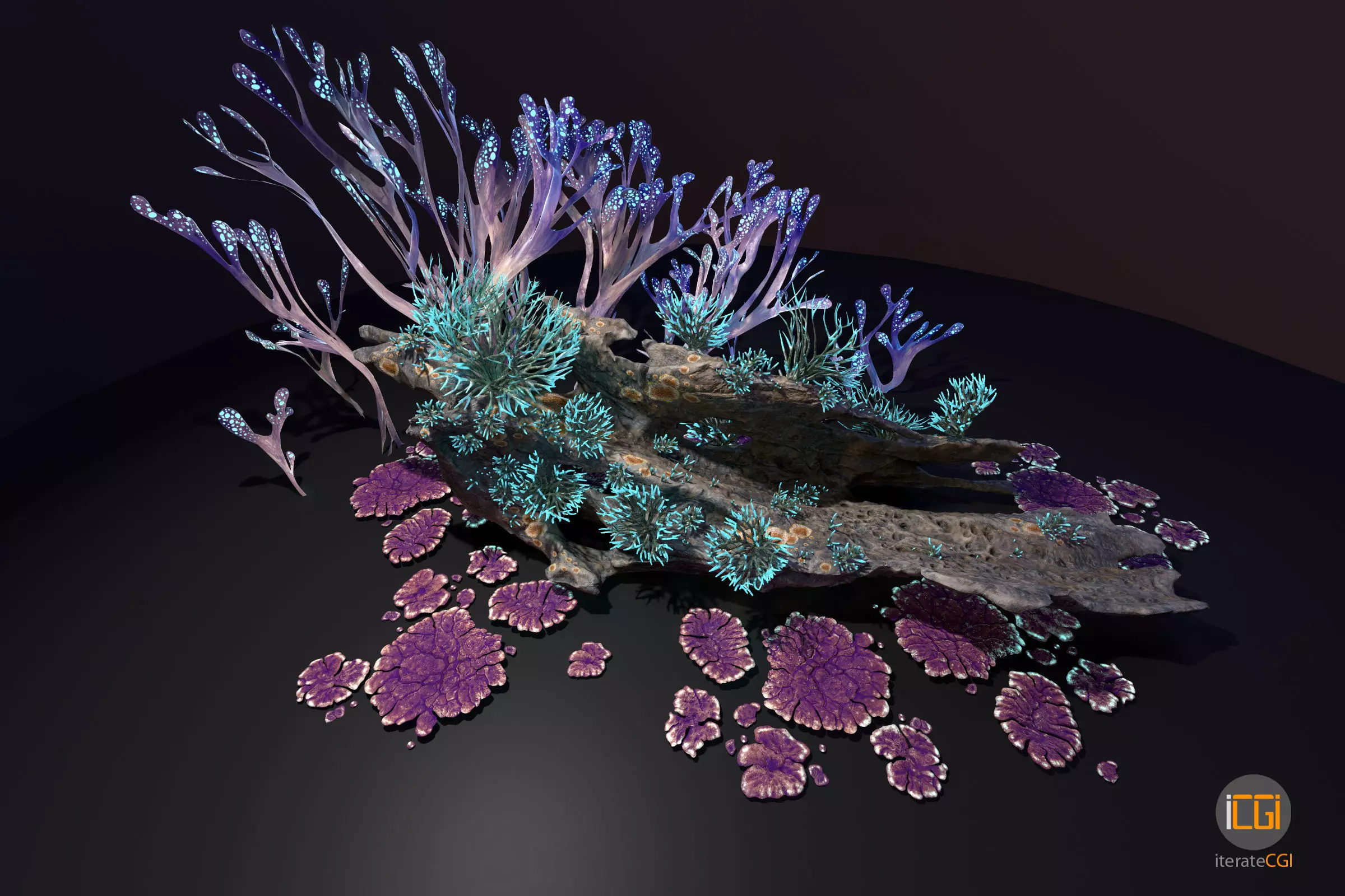 Alien Plant Fungus collection 1 Low-poly 3D model_0