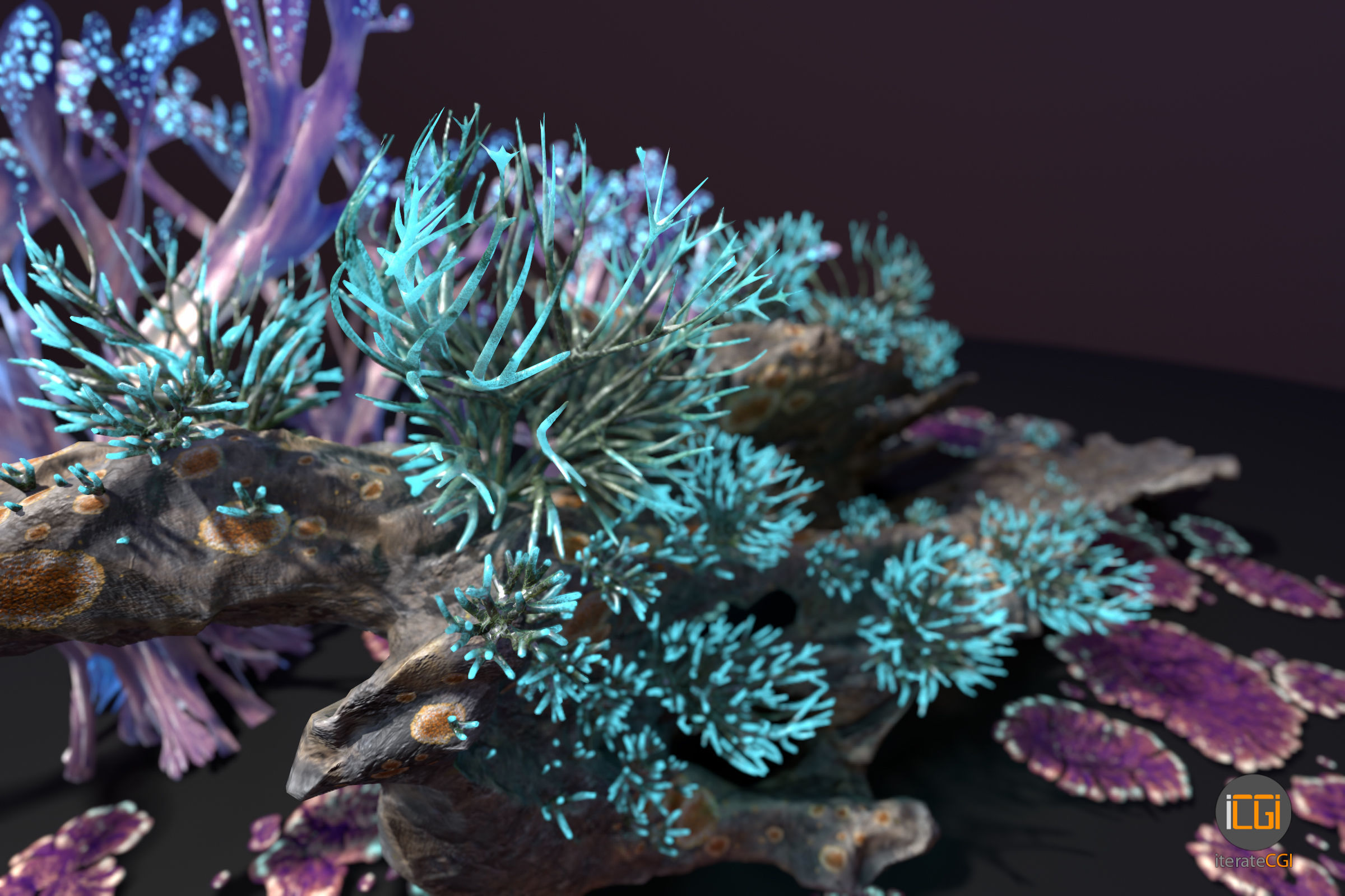 Alien Plant Fungus collection 1 Low-poly 3D model_14