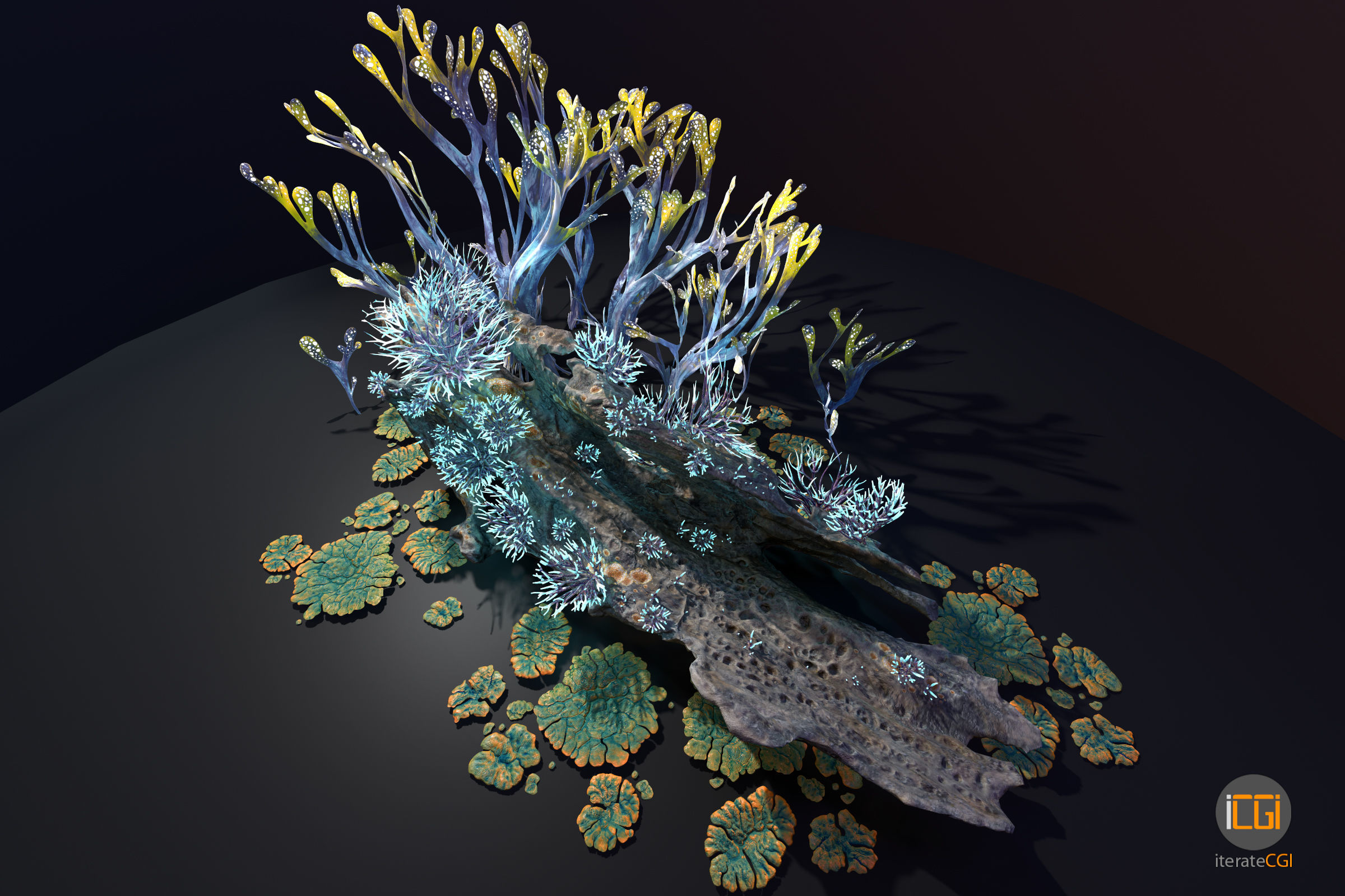 Alien Plant Fungus collection 1 Low-poly 3D model_2