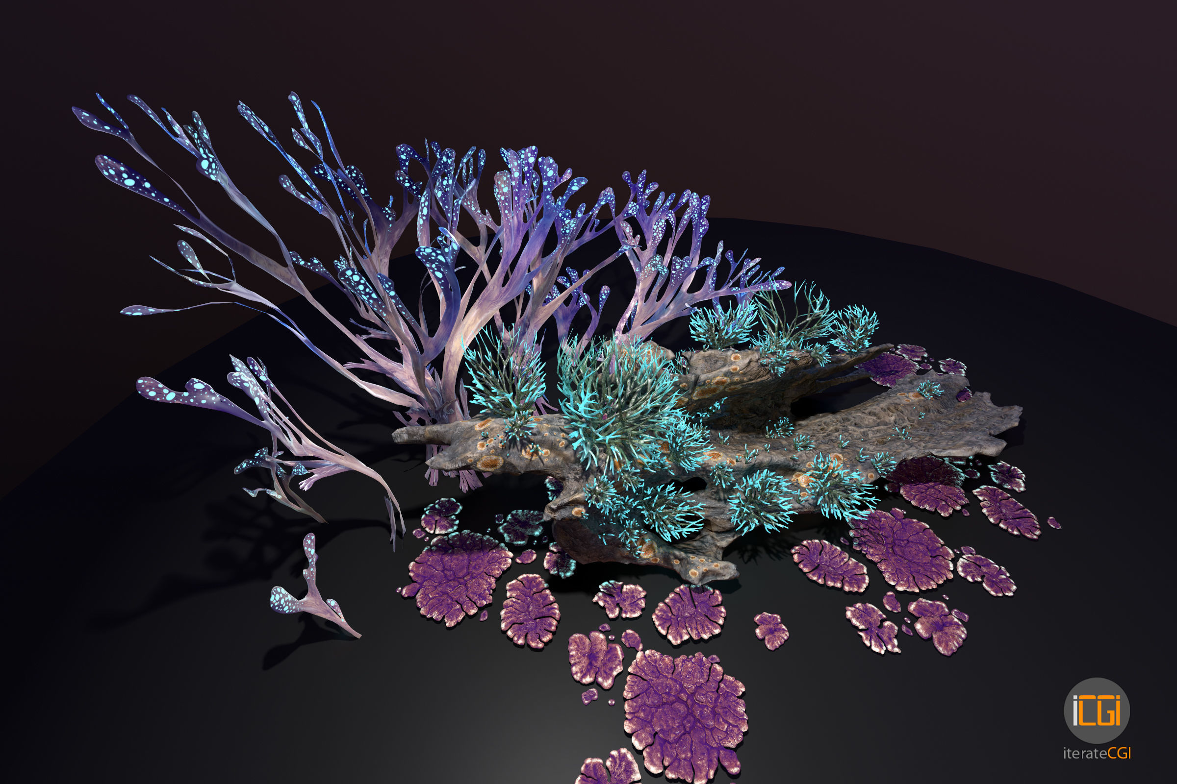 Alien Plant Fungus collection 1 Low-poly 3D model_4