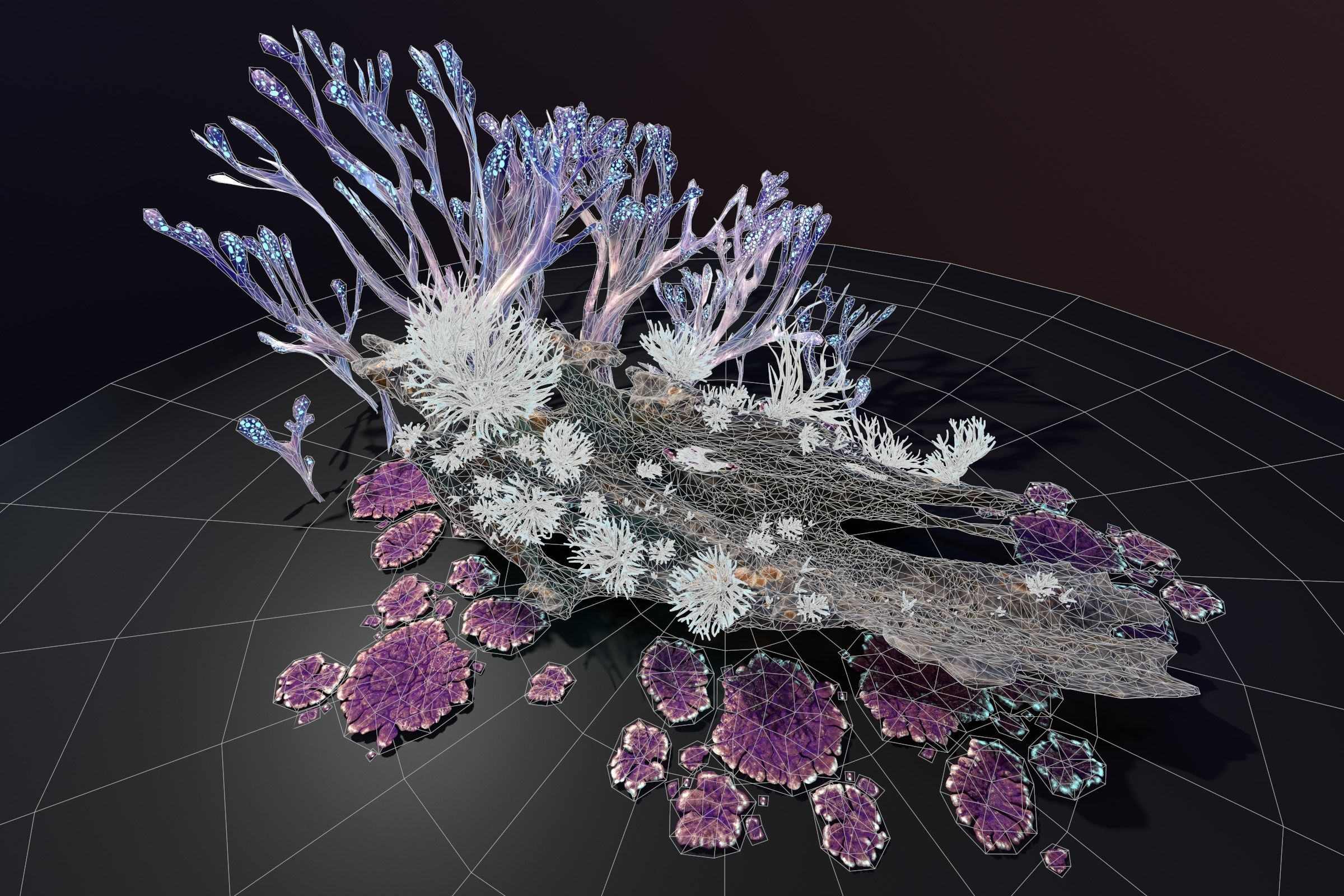 Alien Plant Fungus collection 1 Low-poly 3D model_20