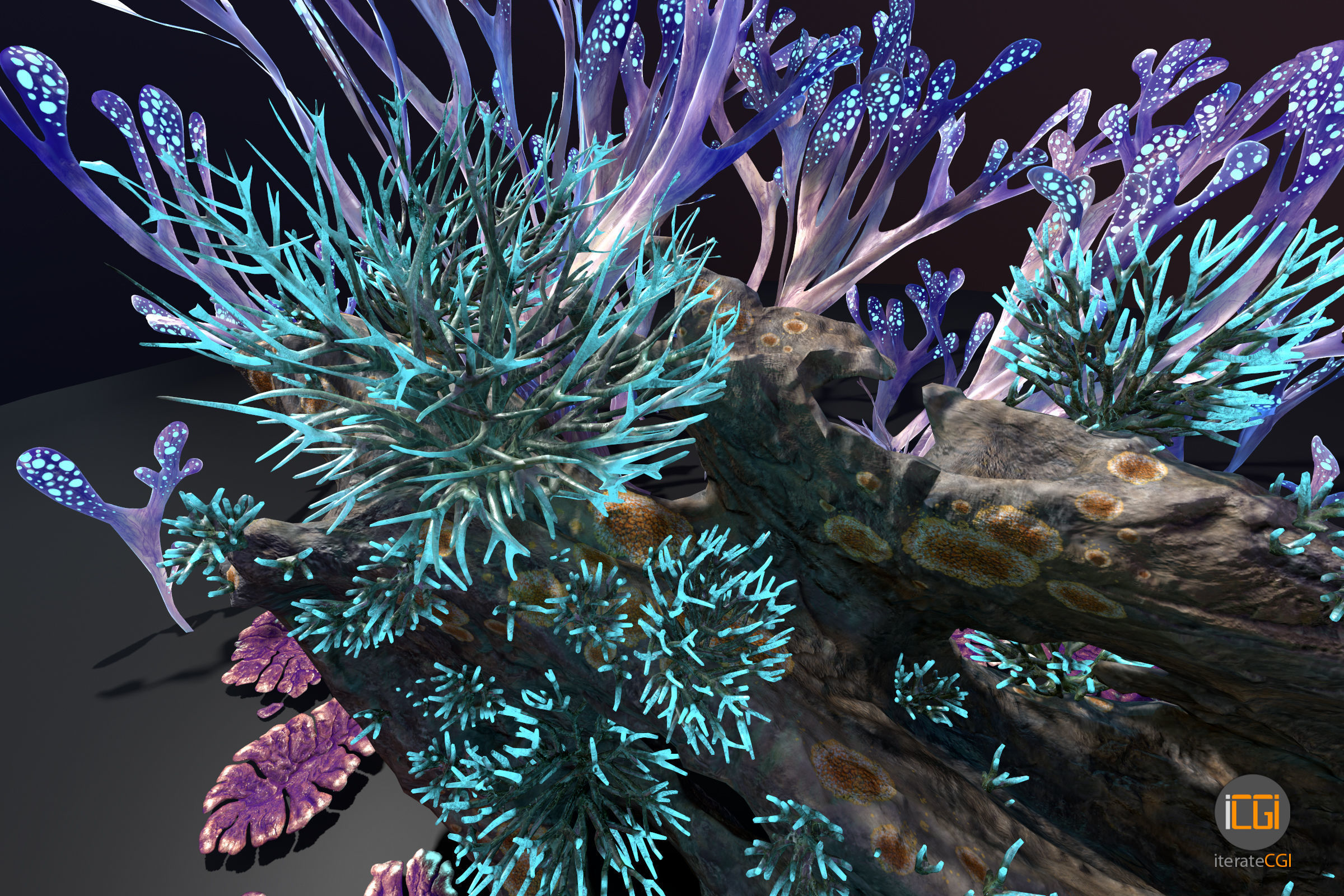 Alien Plant Fungus collection 1 Low-poly 3D model_16