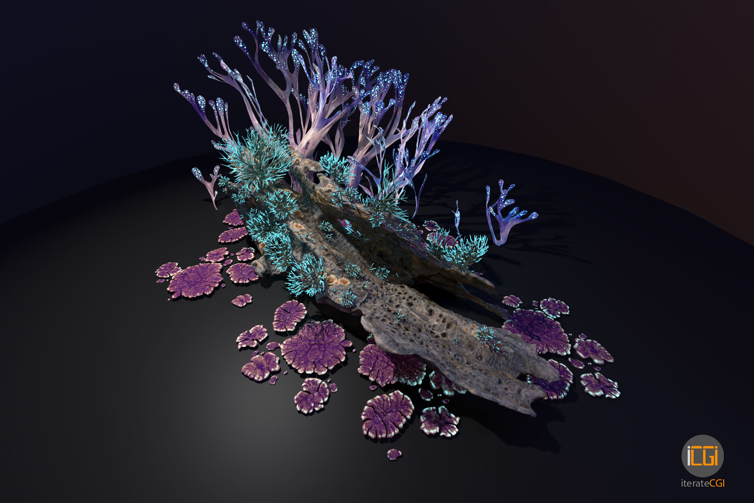 Alien Plant Fungus collection 1 Low-poly 3D model_9