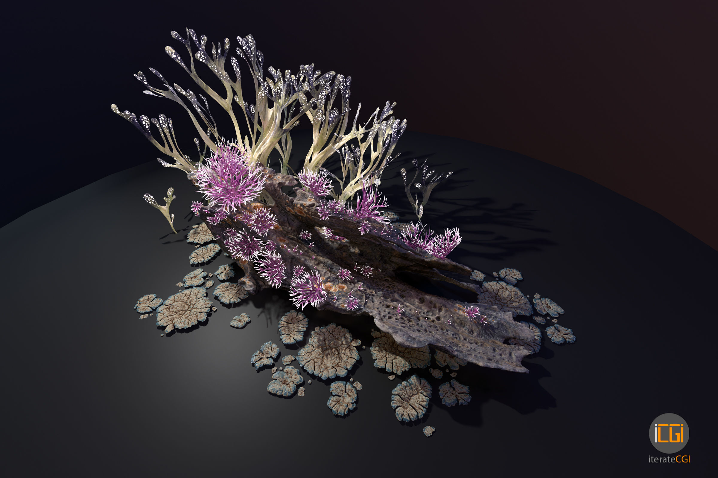 Alien Plant Fungus collection 1 Low-poly 3D model_3