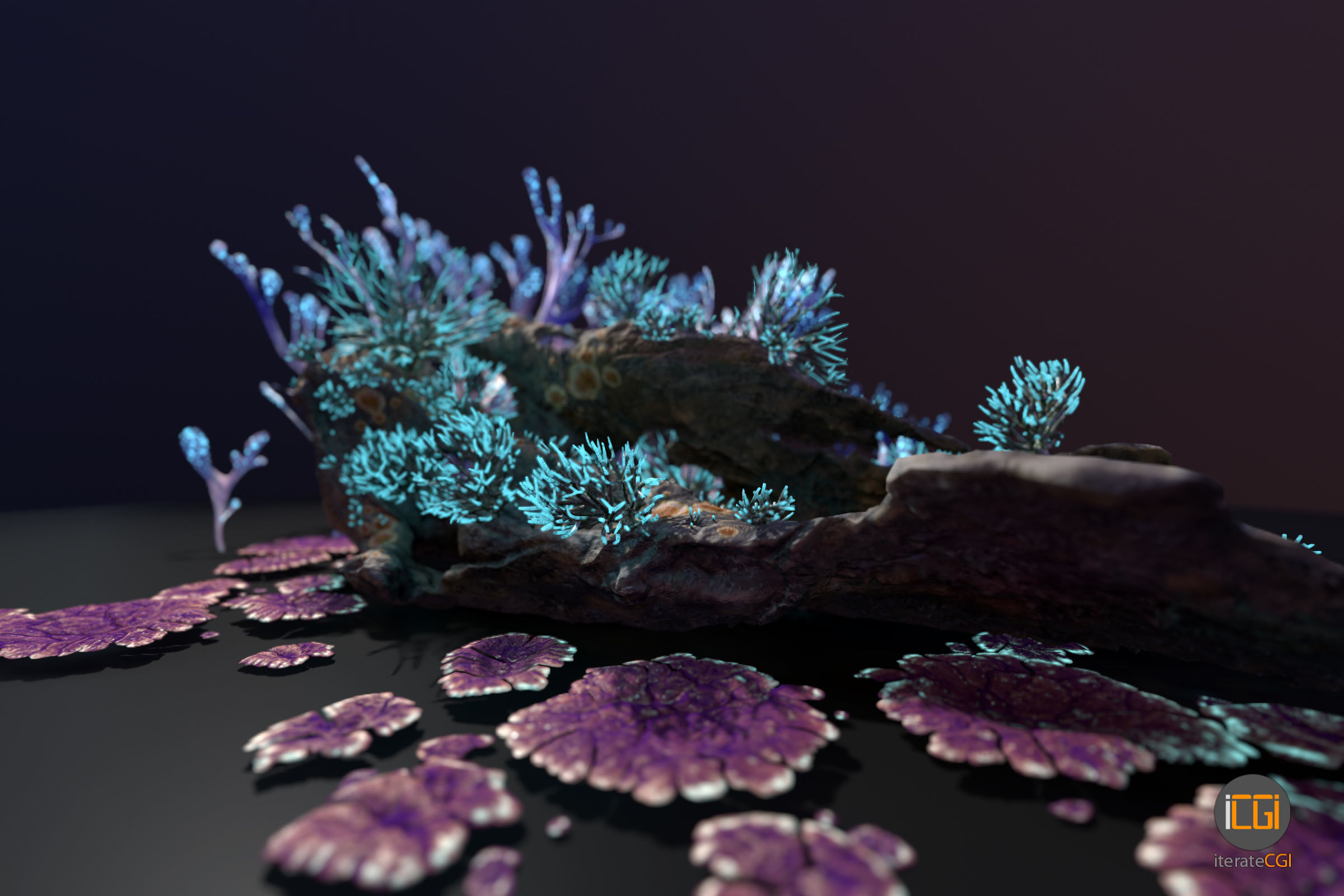 Alien Plant Fungus collection 1 Low-poly 3D model_10