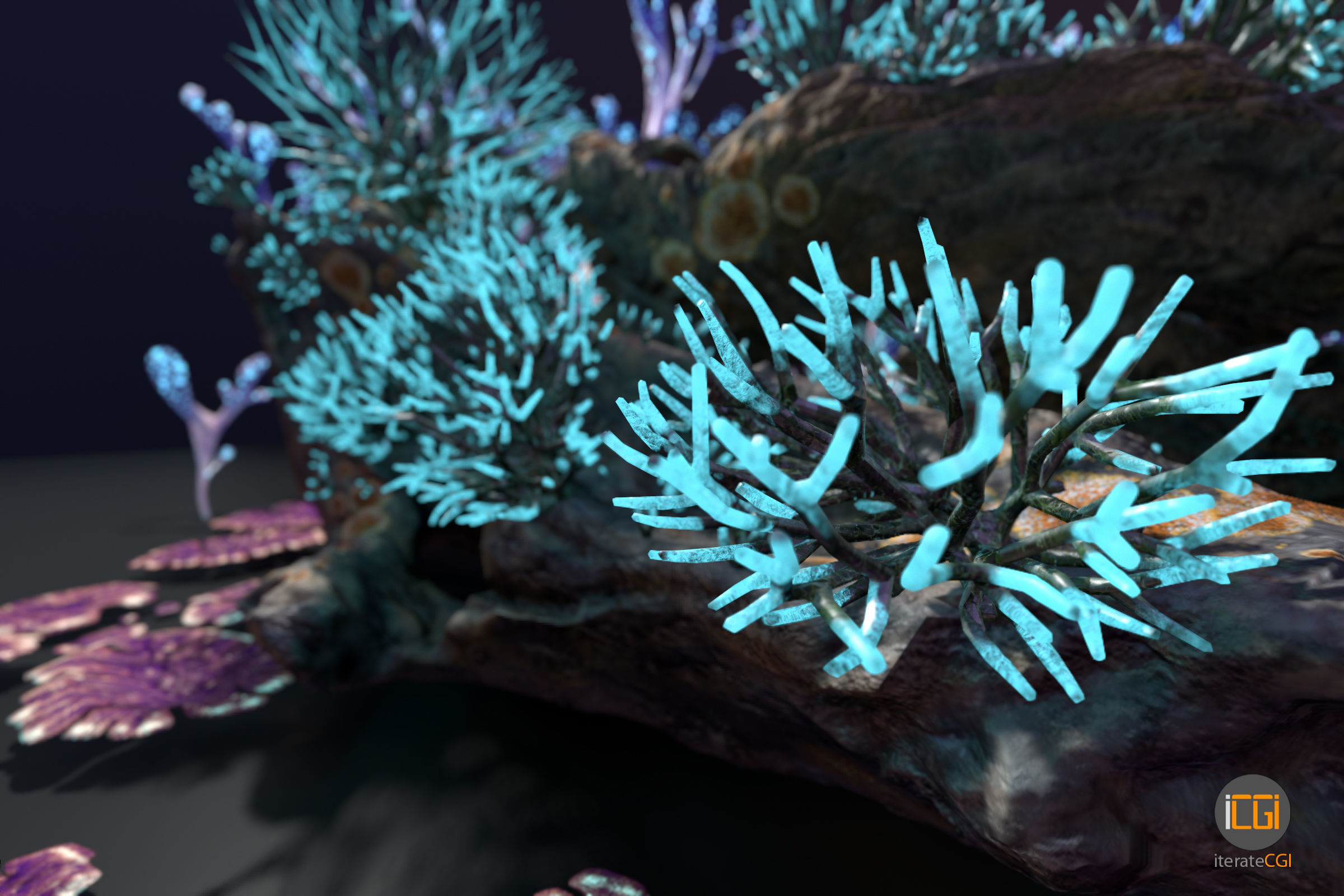 Alien Plant Fungus collection 1 Low-poly 3D model_13
