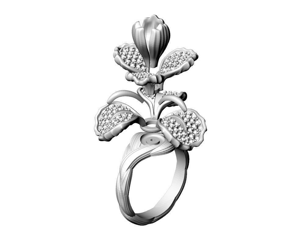 Special Design Flower Ring  3D print model_2