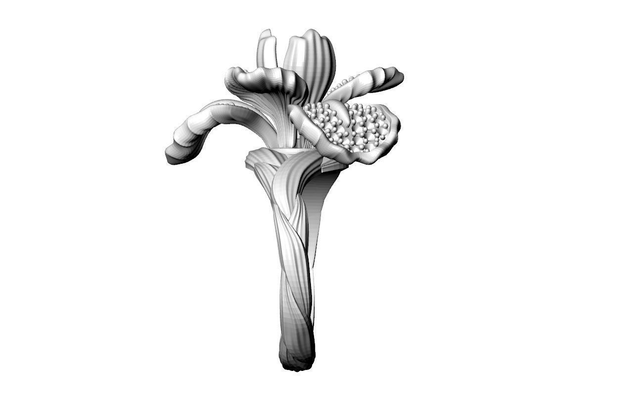Special Design Flower Ring  3D print model_3