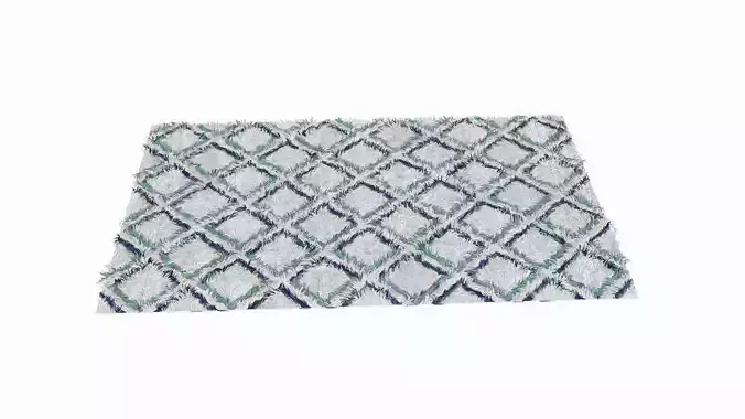 Carpet bathroom rug with pattern