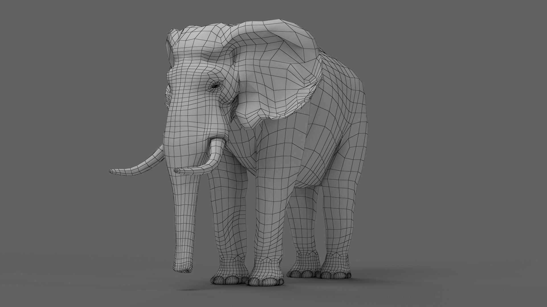 African elephant 3D model Low-poly 3D model_3