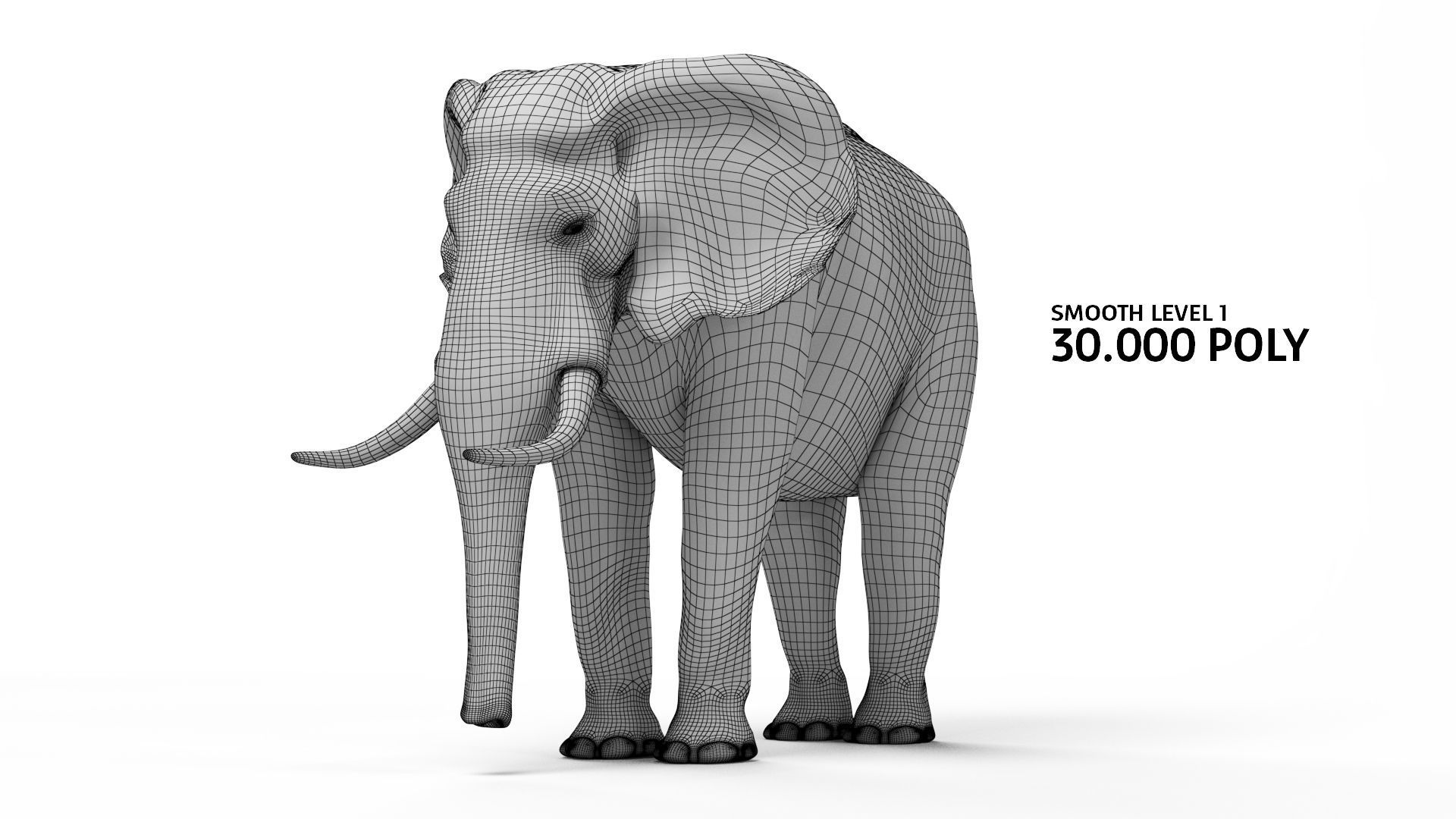 African elephant 3D model Low-poly 3D model_2