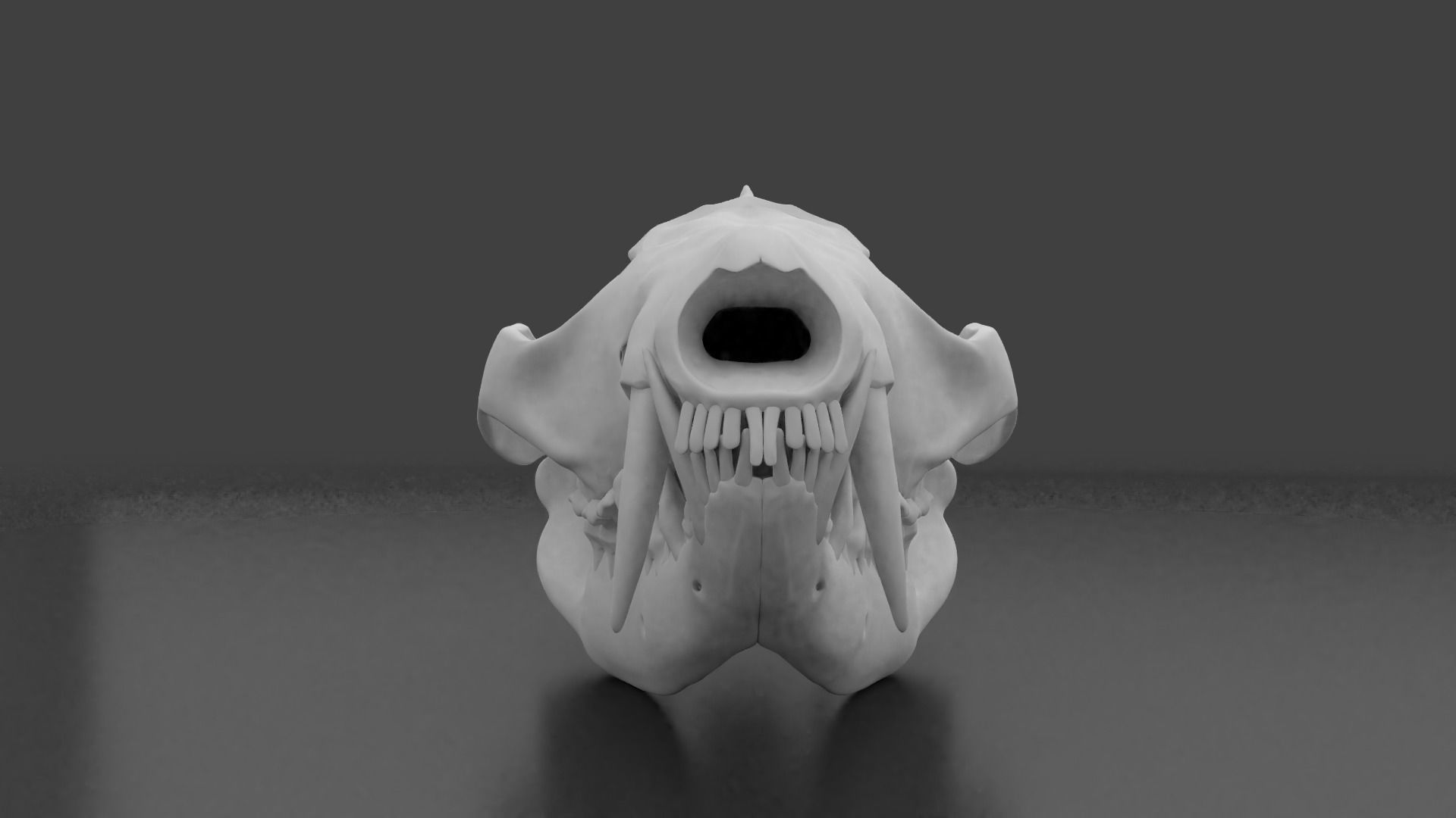 Oppossum Skull 3D print model_6
