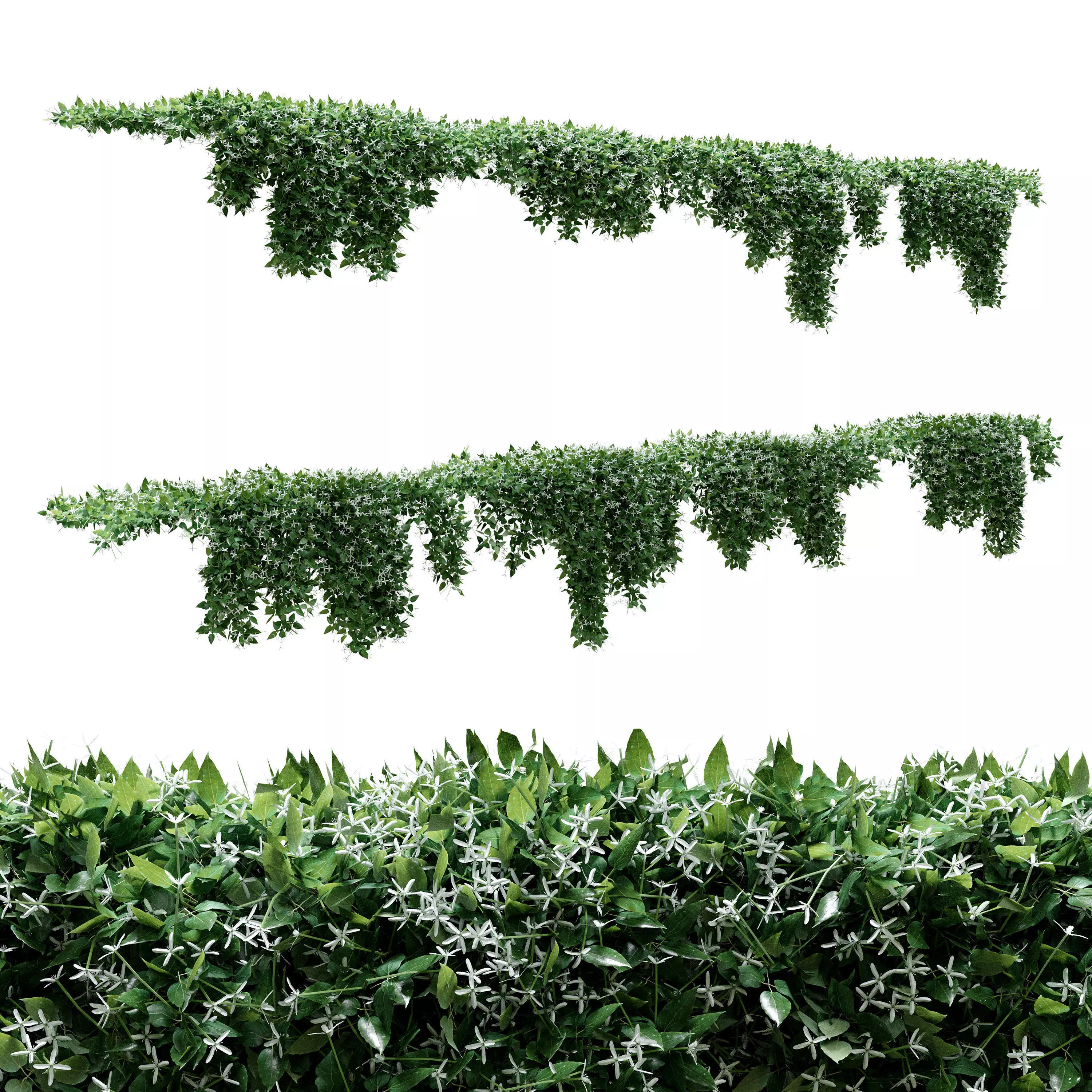 Creeper - Clematis Glycinoides - 8 Modular Pieces 3D model_0