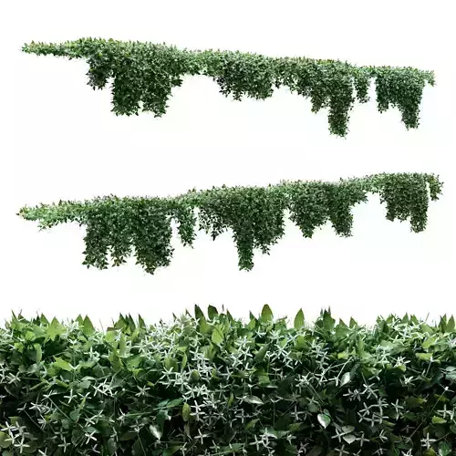 Creeper - Clematis Glycinoides - 8 Modular Pieces 3D model