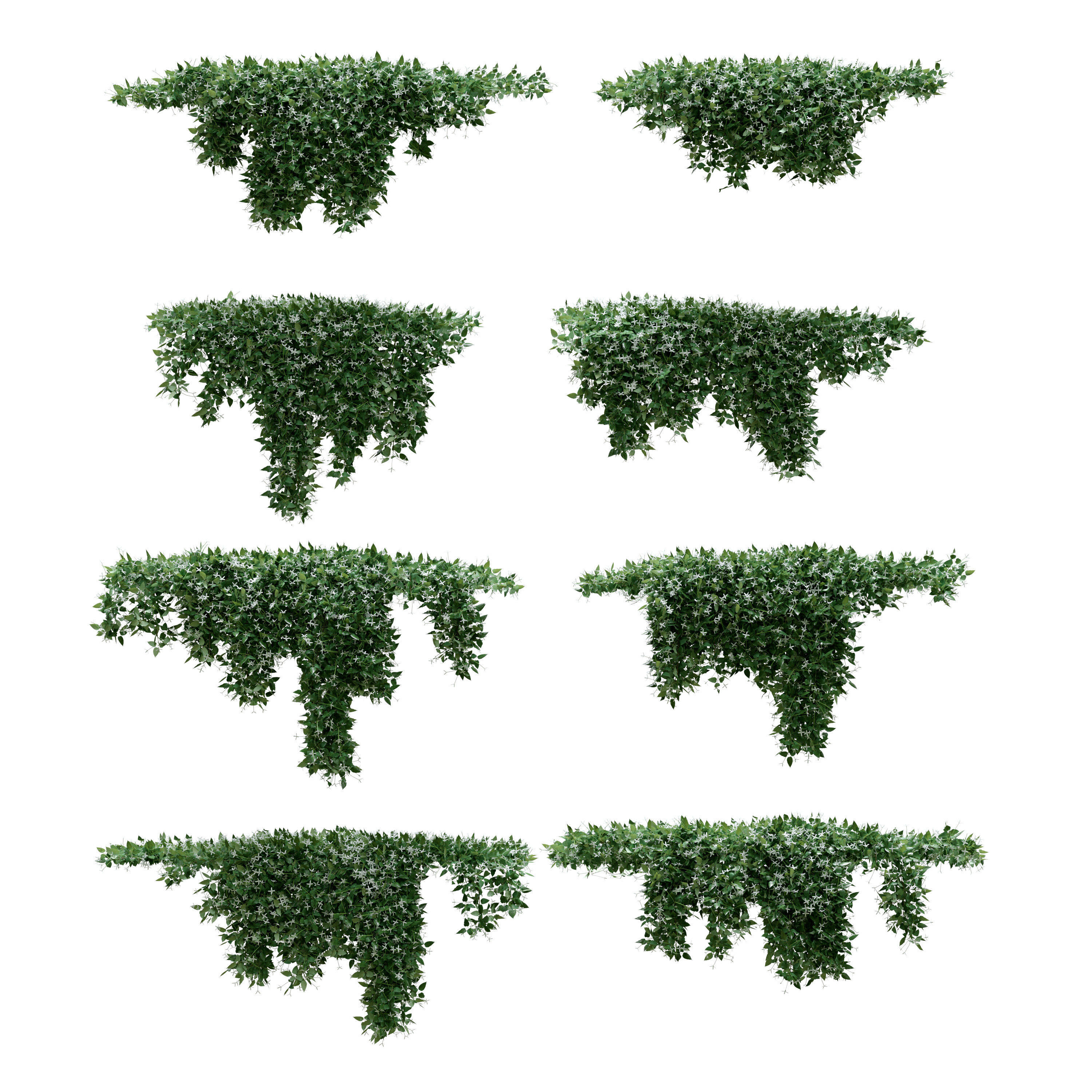 Creeper - Clematis Glycinoides - 8 Modular Pieces 3D model_1