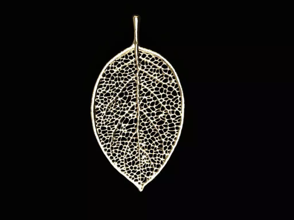 Leaf Design Pendant Necklace  3D print model_0