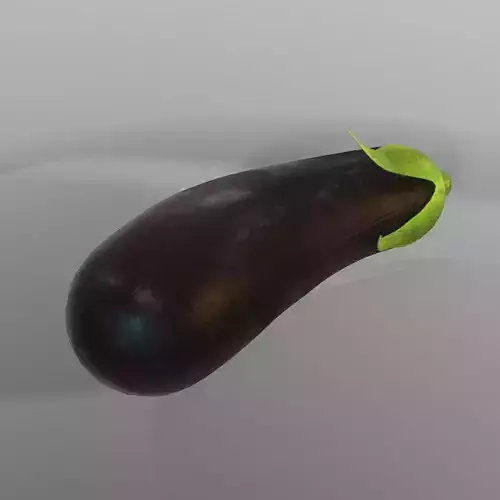 Eggplant with leaf