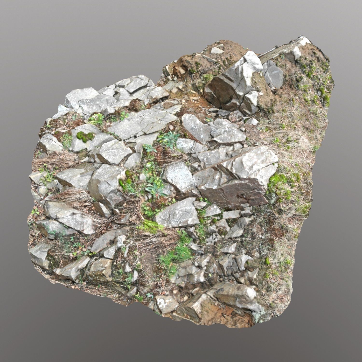 Cliff face 3d scanned D 3D model_4