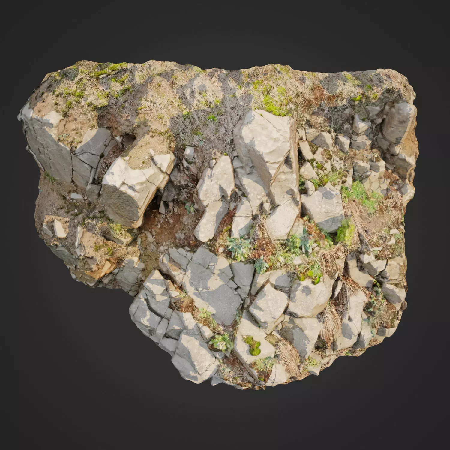 Cliff face 3d scanned D 3D model_0