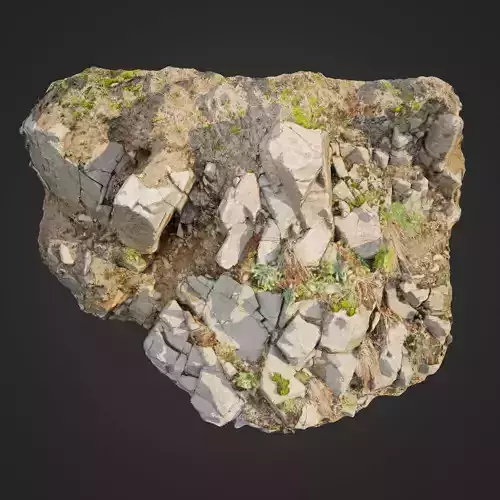 Cliff face 3d scanned D