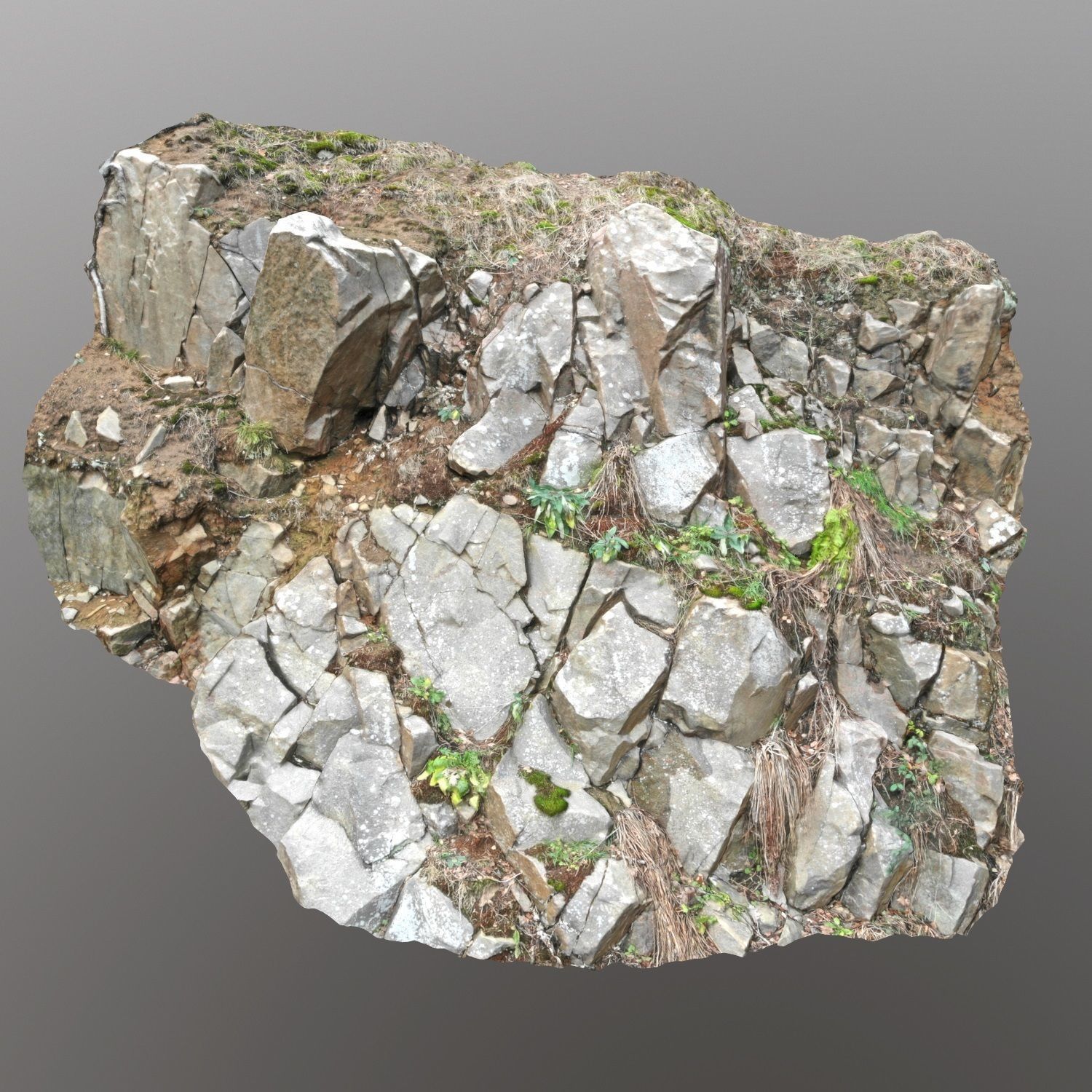 Cliff face 3d scanned D 3D model_3