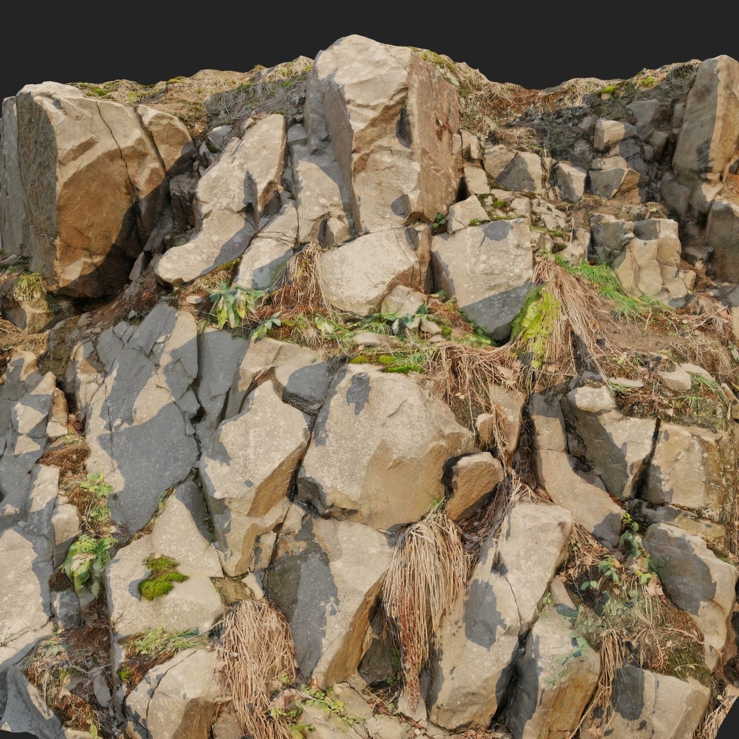 Cliff face 3d scanned D 3D model_9