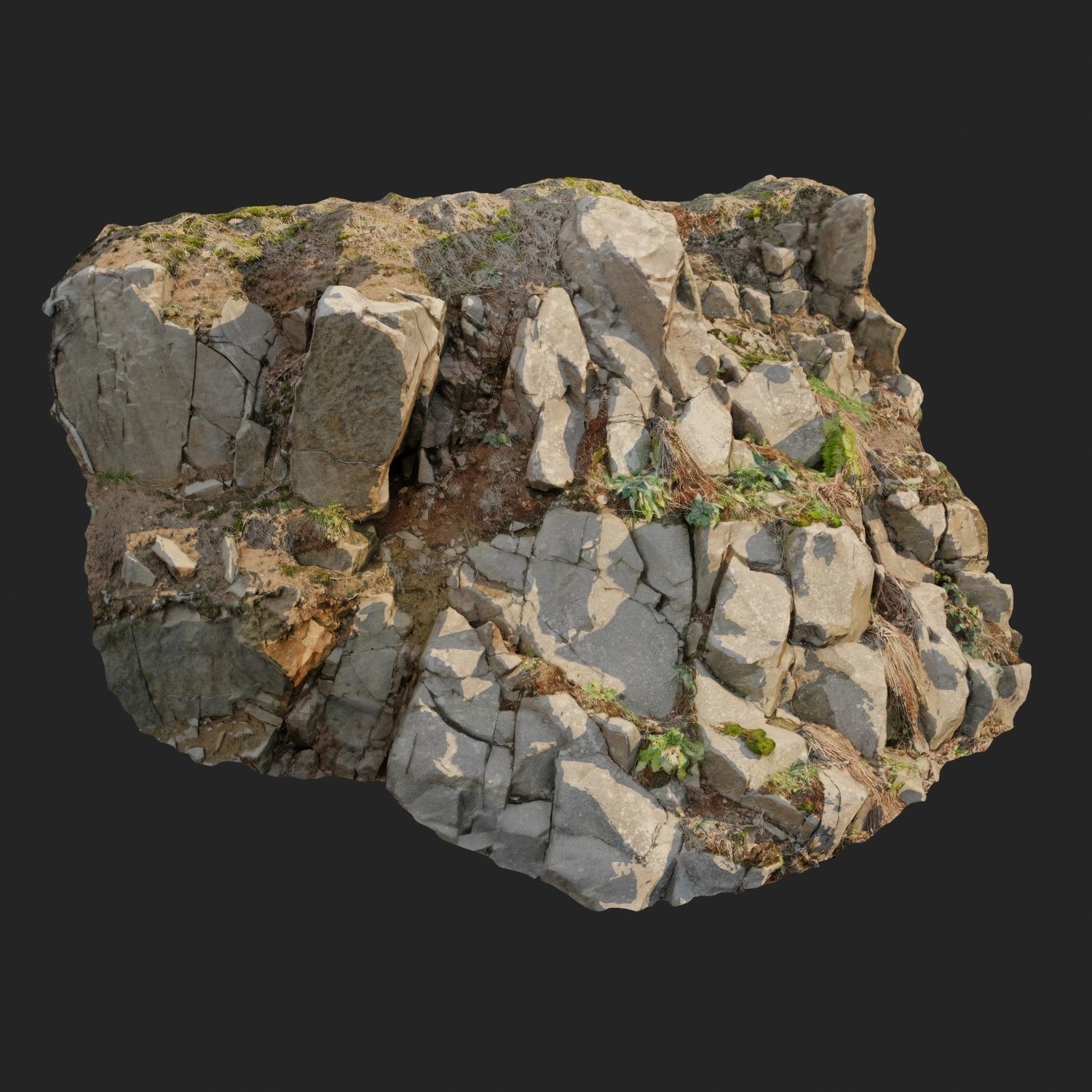 Cliff face 3d scanned D 3D model_6